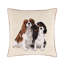 Charlies Decorative Pillow-49542149