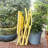 3 Piece Patio Bistro Set Of Foldable Square Table And Chairs-957595001