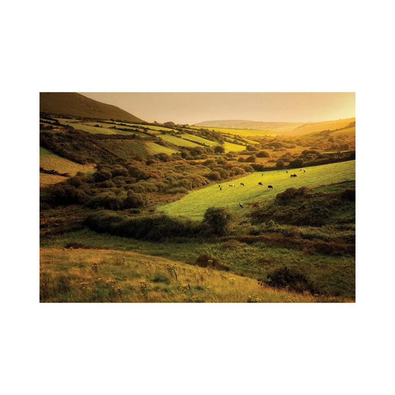 Irish Hillside by Dennis Frates - Wrapped Canvas Print, 20.32 cm H x 30.48 cm W