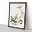 Bunting Bird on a Blossom Branch by Ohara Koson - Framed Print-55681174-55681175