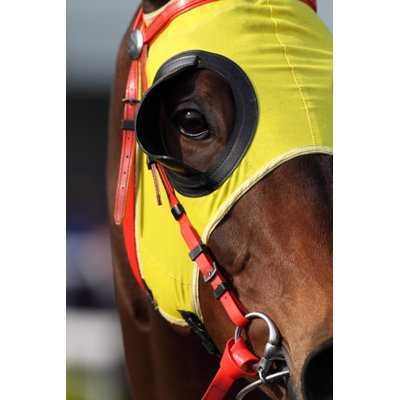 Tête de cheval avec œillets par Winhorse
