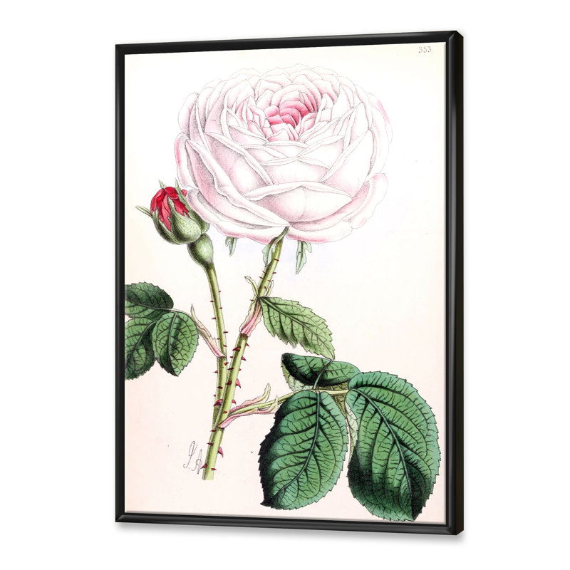 Fleur rose rétro - peinture sur toile, H 32 po x l 16 po x P 1 po, Cadre flottant noir