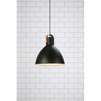 Berryman 1 - Light Dome Pendant