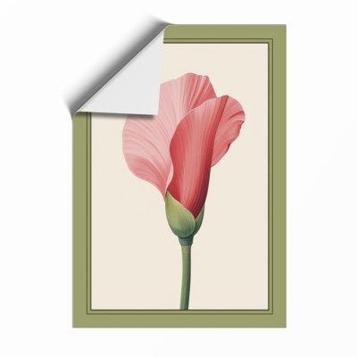 Pink Carnation Study Botanical - Print