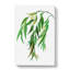Weeping Willow Tree Branch by Pierre-Joseph Redoute - Wrapped Canvas-55305474