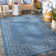 Caysee Oriental Indoor / Outdoor Rug