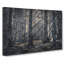 Pine Tree Forest - Wrapped Canvas-56639805