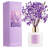 Lavender garden reed diffuser-1632034398