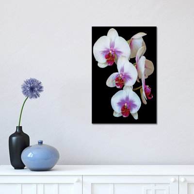 Orchids 1 Piece Wrapped Canvas Wall Art