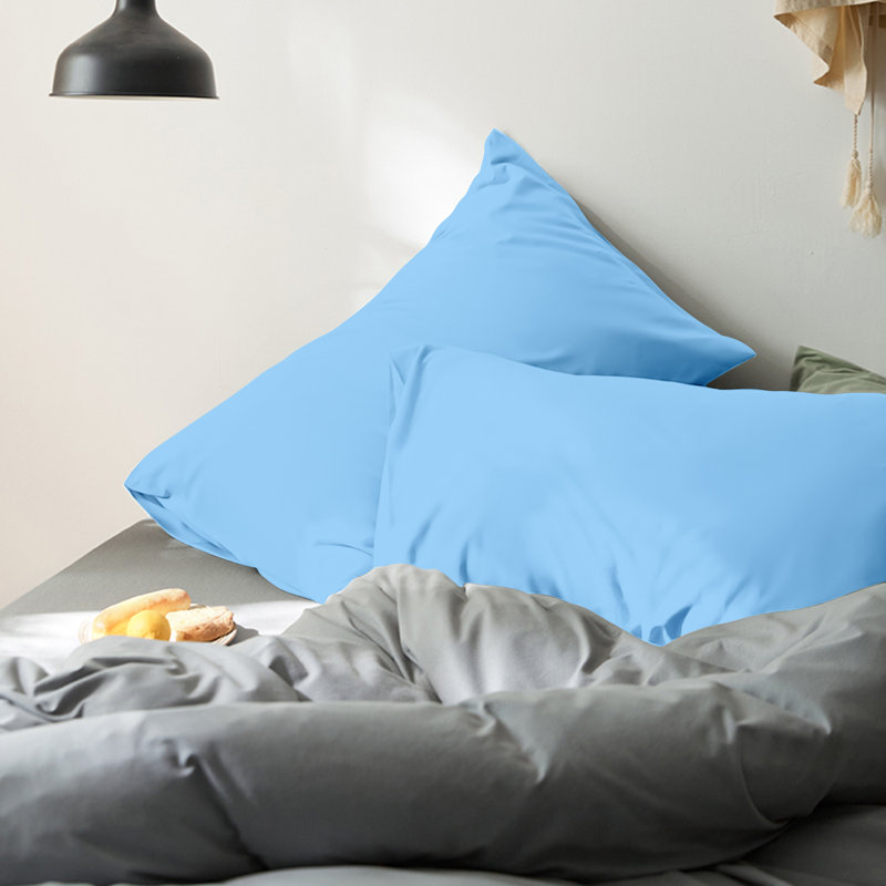 Bed Pillowcases, 1800 Brushed Microfiber Queen Pillow Cases with Envelope Closure - 20x30 Inches - NTBAY, Sky Blue