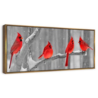 Cardinal Birds