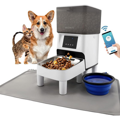 and Automatic Feeder