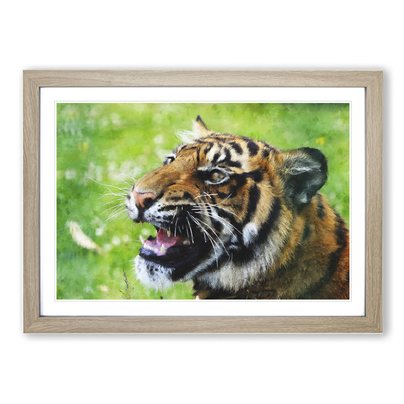 Tiger Vol.1 - Picture Frame Graphic Art, Oak, 36cm H x 48cm W x 2cm D