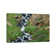 Porphyry Creek Near Silverton, Colorado I by Tim Fitzharris - Gallery-Wrapped Canvas Giclée on Canvas