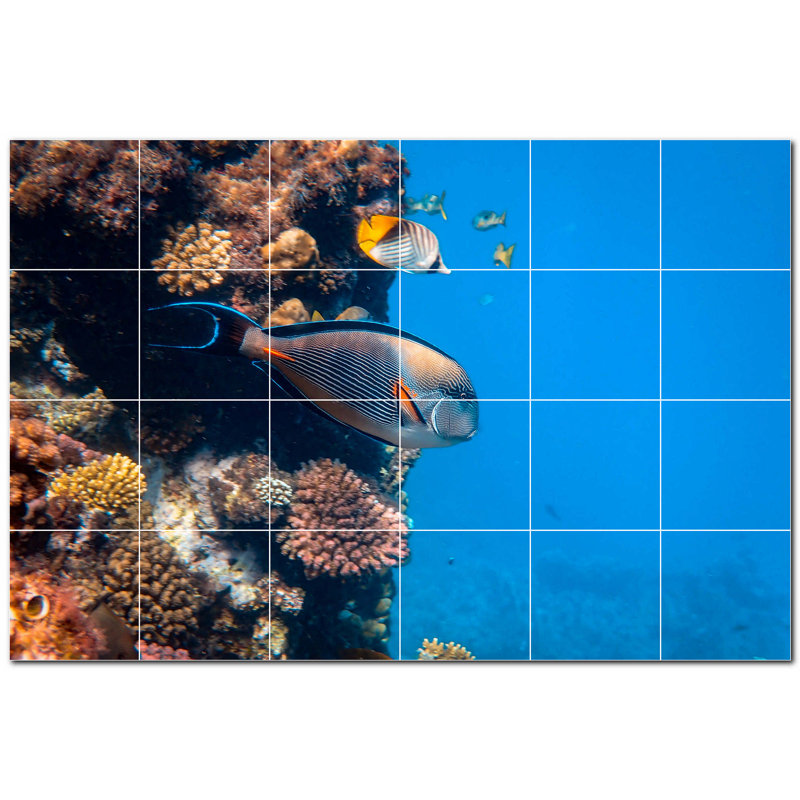 Corail photo 4,25 x 4,25