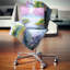 Coussin Schafer-115932765-115932753