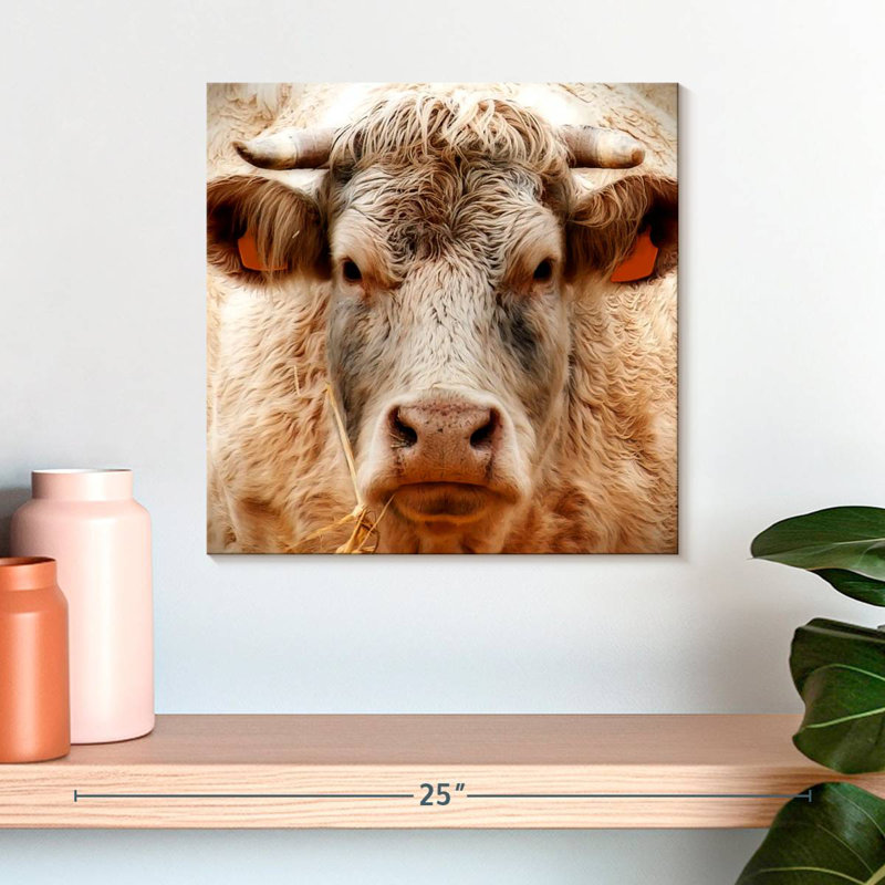 Brampt Mighty Bull