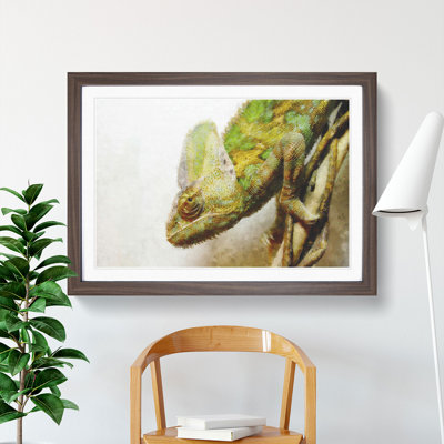 Chameleon Lizard Vol.3 - Framed Print