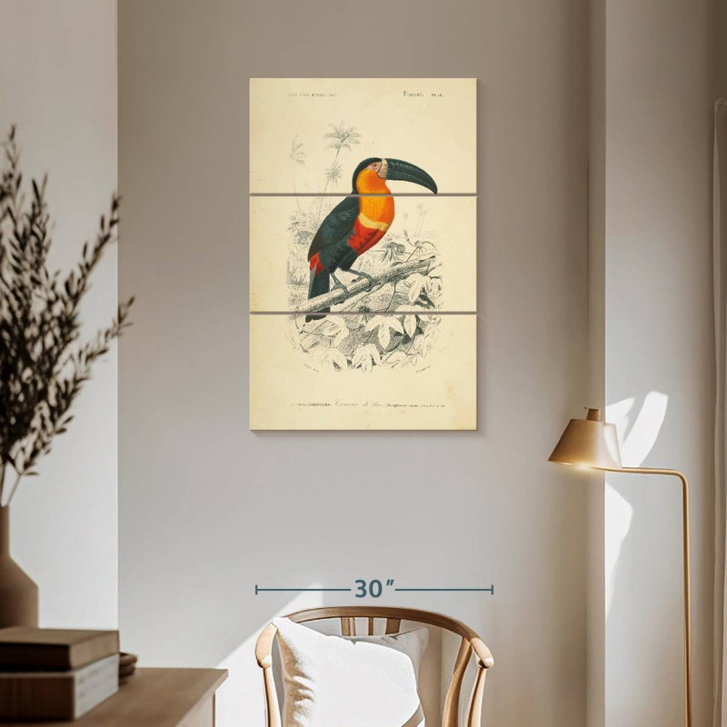 Brampt Toucan Du Para, 57" H x 36" W