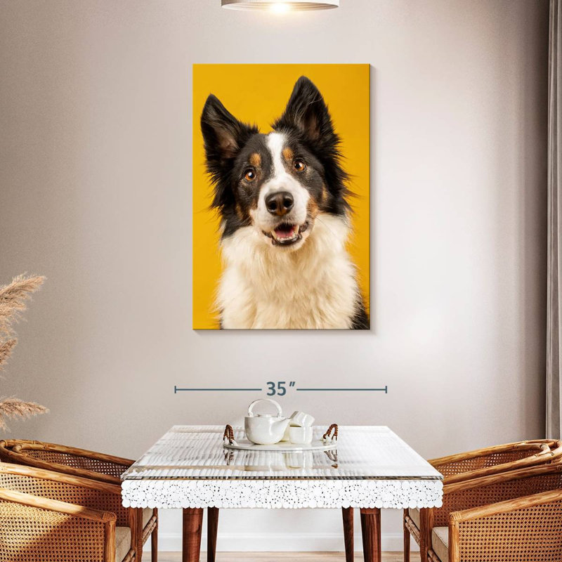 Brampt Adorable Border Collie, 24" H x 16" W