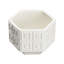 Dover Cachepot - White