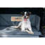 Nylon Pet Bed