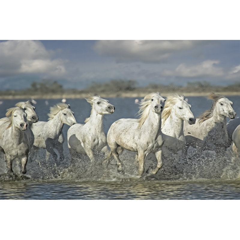 Chevaux blancs de Camargue, H 32 po x l 48 po x P 1,25 po