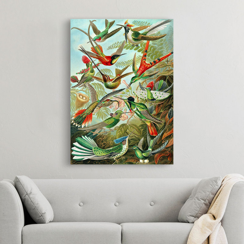 Trochilidae by Ernst Haeckel - Wrapped Canvas Art Prints, 100cm H x 70cm W x 4cm D