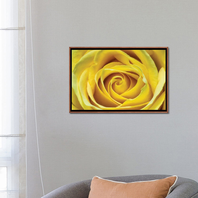 Jaune rose par Glauco Meneghelli-impression, Pas de tapis, H 18 po x l 26 po x P 1,5 po
