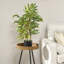 60 cm H Faux Bamboo Tree Plant in Cement Freestanding  Planter