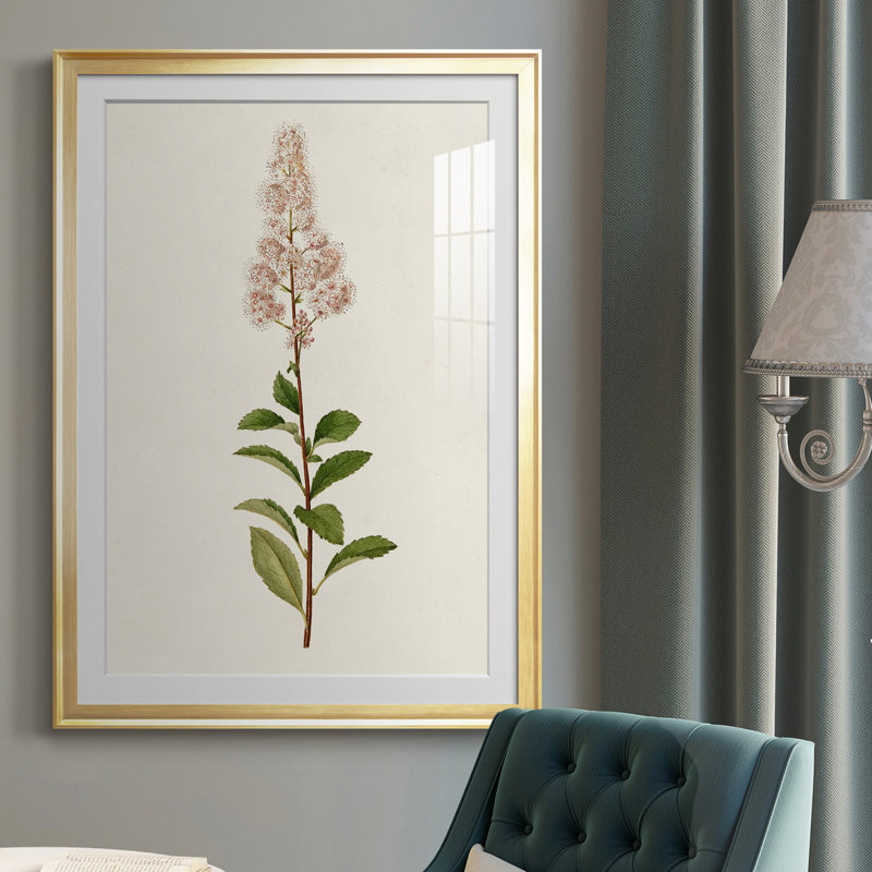Mauve Garden Flowers II - peinture encadrée, Cadre doré, H 24,5 po x l 18,5 po x P 1 po