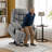 Roder Power Recliner Lift Chair with Extended Footrest, Fabric Upholstered-1068760850