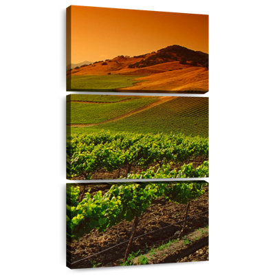Carneros Vineyard Twilight