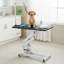 Table de toilettage hydraulique robuste pour chien Z-Lift
