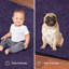 Tapis mauve Ambernicole