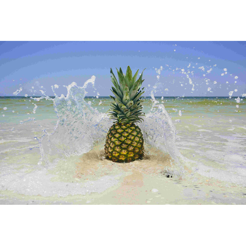 «South Florida Pineapple III» par Adam Mead - reproduction d'art sur toile tendue, H 8 po x l 12 po