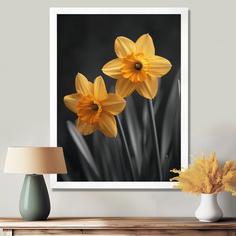 «Yellow Grey Garden Glamour Daffodils» - impression d'art mural jonquilles, H 24 po x l 32 po, Black Picture Framed