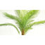 7ft Artificial Palm Tree