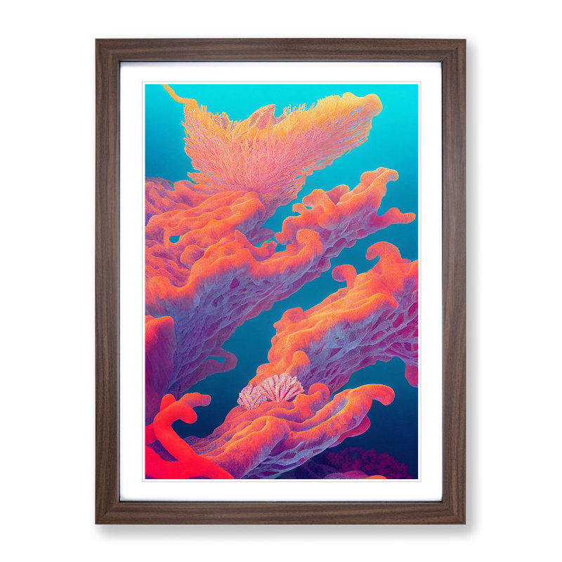 The Beauty Of Coral Reef - Single Picture Frame Print, 34cm H x 25cm W x 2cm D, Walnut Framed