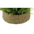 Faux Grass in Wicker/Rattan Basket-953788892-953788888-1056633044