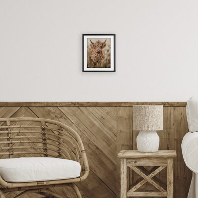 Curly Haired Highland Cattle Framed Print Under Glass, design by Ashley Bradley