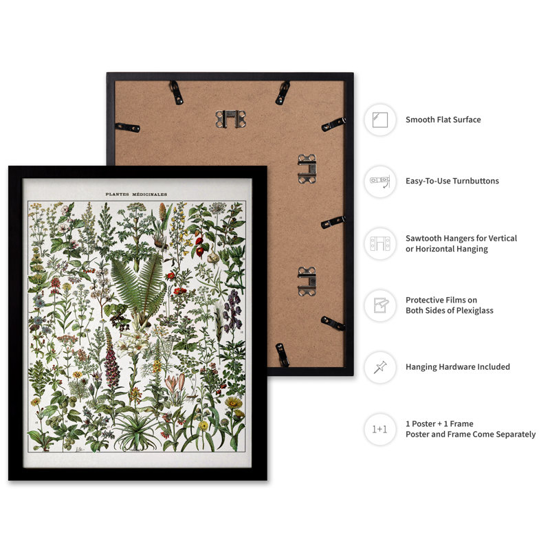 Adolphe Millot - Plante médicale, H 12 po x l 16 po, Affiche, Black Framed