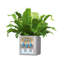 Canto Planter Box-26992019-27444867
