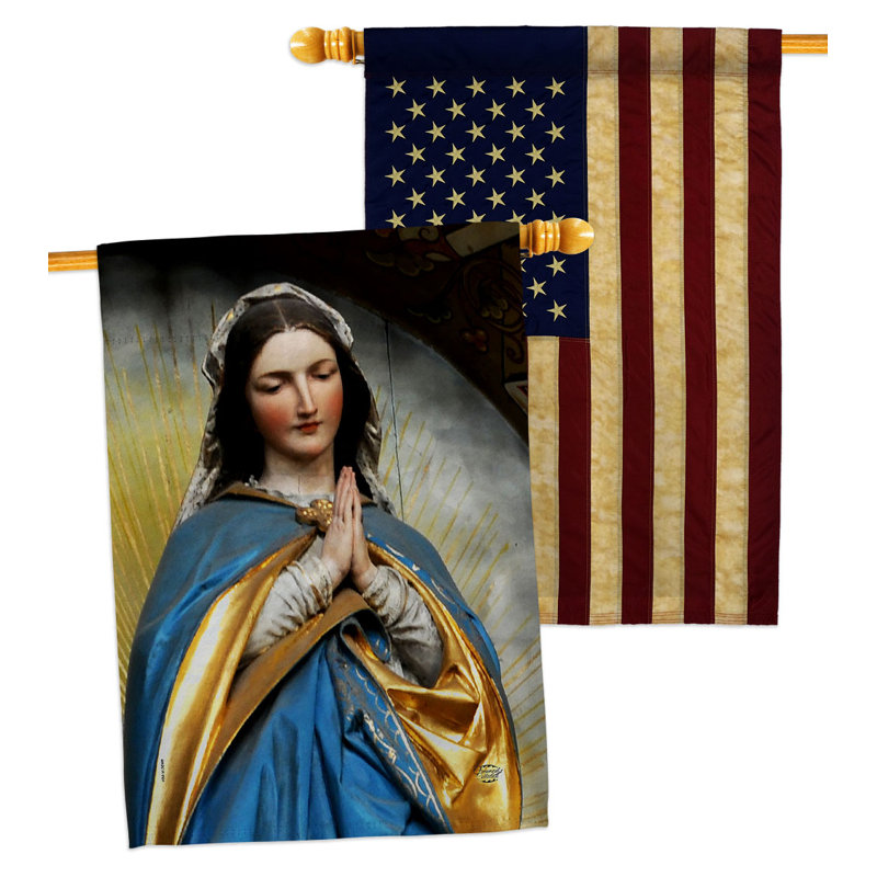 Double Sided 40'' H x 28'' W Polyester House Flag