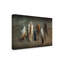 «Feather Collection I», reproduction d'impression sur toile tendue-33425734