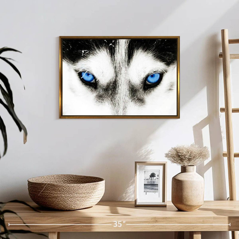 Husky's Eyes, Cadre flottant noyer, 43 po x 29 po