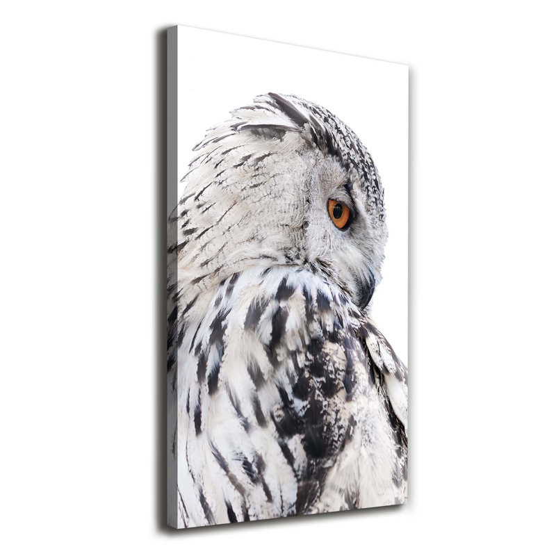White Owl - Wrapped Canvas Print