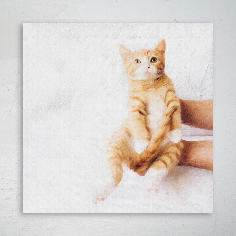 «Orange Tabby Cat», reproduction d'art graphique sur toile tendue carrée 1 pièce, L 32 po x H 32 po