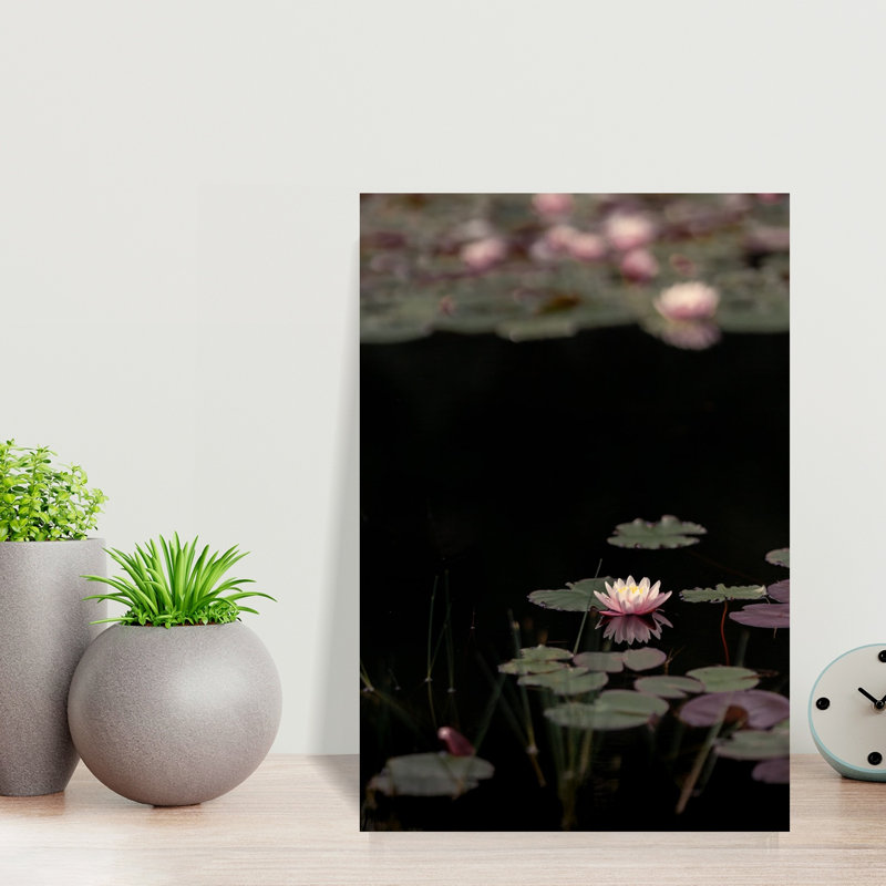 Print, 45.72cm H x 30.48cm W