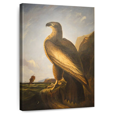 Washington Eagle